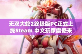 无双大蛇2终极版PC正式上线Steam 中文玩家震撼来袭