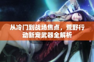 从冷门到战场焦点，荒野行动新宠武器全解析