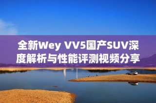 全新Wey VV5国产SUV深度解析与性能评测视频分享