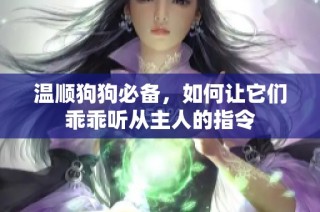 温顺狗狗必备，如何让它们乖乖听从主人的指令