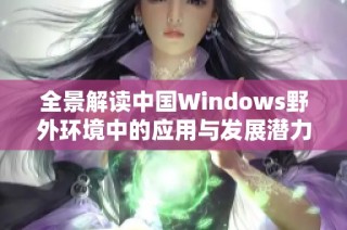 全景解读中国Windows野外环境中的应用与发展潜力