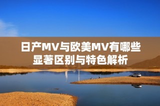 日产MV与欧美MV有哪些显著区别与特色解析