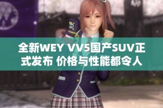 全新WEY VV5国产SUV正式发布 价格与性能都令人期待