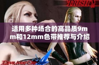 适用多种场合的高品质9mm和12mm色带推荐与介绍