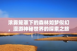 浓雾笼罩下的森林如梦似幻，漫游神秘世界的探索之旅