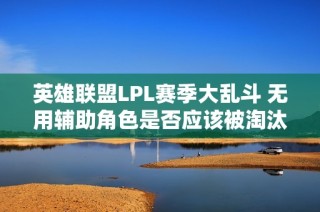 英雄联盟LPL赛季大乱斗 无用辅助角色是否应该被淘汰探讨