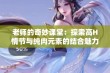 老师的奇妙课堂：探索高H情节与纯肉元素的结合魅力