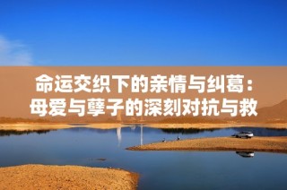 命运交织下的亲情与纠葛：母爱与孽子的深刻对抗与救赎