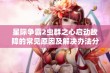 星际争霸2虫群之心启动故障的常见原因及解决办法分析