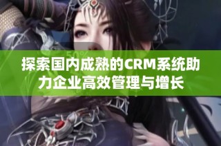 探索国内成熟的CRM系统助力企业高效管理与增长