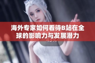 海外专家如何看待B站在全球的影响力与发展潜力