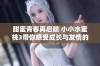 甜蜜青春再启航 小小水蜜桃3带你感受成长与友情的故事