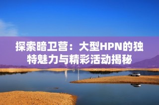 探索暗卫营：大型HPN的独特魅力与精彩活动揭秘