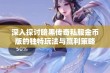 深入探讨暗黑传奇私服金币版的独特玩法与赢利策略