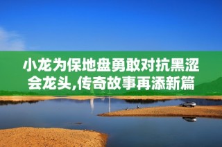 小龙为保地盘勇敢对抗黑涩会龙头,传奇故事再添新篇章