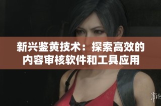 新兴鉴黄技术：探索高效的内容审核软件和工具应用