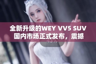 全新升级的WEY VV5 SUV 国内市场正式发布，震撼来袭！