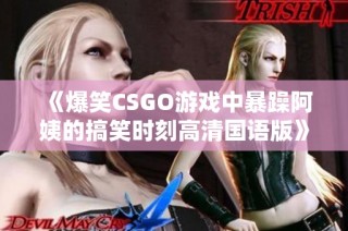 《爆笑CSGO游戏中暴躁阿姨的搞笑时刻高清国语版》