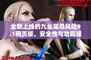 全新上线的九幺高危风险9.1网页版，安全性与功能提升！