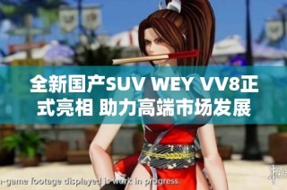 全新国产SUV WEY VV8正式亮相 助力高端市场发展