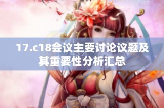 17.c18会议主要讨论议题及其重要性分析汇总