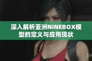 深入解析亚洲NINEBOX模型的定义与应用现状