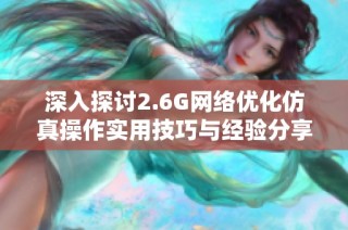 深入探讨2.6G网络优化仿真操作实用技巧与经验分享