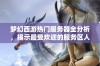 梦幻西游热门服务器全分析，揭示最受欢迎的服务区人气排行榜