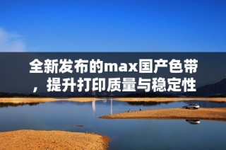 全新发布的max国产色带，提升打印质量与稳定性