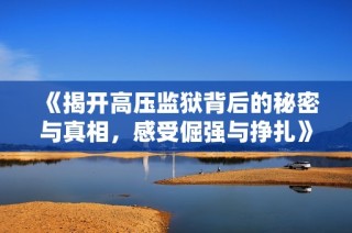《揭开高压监狱背后的秘密与真相，感受倔强与挣扎》