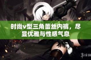 时尚v型三角蕾丝内裤，尽显优雅与性感气息