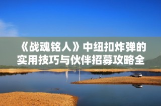 《战魂铭人》中纽扣炸弹的实用技巧与伙伴招募攻略全面解析