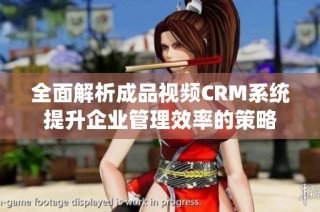 全面解析成品视频CRM系统提升企业管理效率的策略