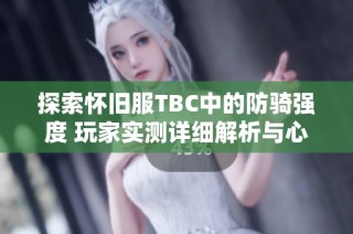 探索怀旧服TBC中的防骑强度 玩家实测详细解析与心得分享