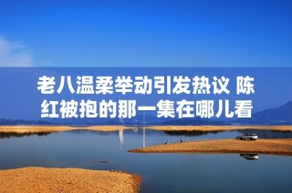 老八温柔举动引发热议 陈红被抱的那一集在哪儿看