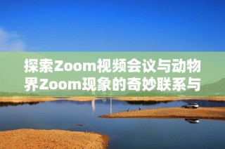 探索Zoom视频会议与动物界Zoom现象的奇妙联系与暗示