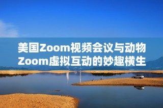 美国Zoom视频会议与动物Zoom虚拟互动的妙趣横生对比