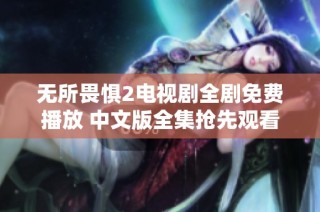 无所畏惧2电视剧全剧免费播放 中文版全集抢先观看