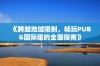 《跨越地域限制，畅玩PUBG国际服的全面指南》