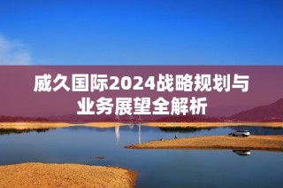 威久国际2024战略规划与业务展望全解析