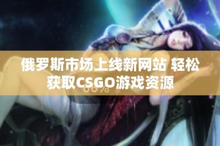 俄罗斯市场上线新网站 轻松获取CSGO游戏资源