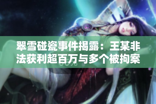 翠雪碰瓷事件揭露：王某非法获利超百万与多个被拘案件相关