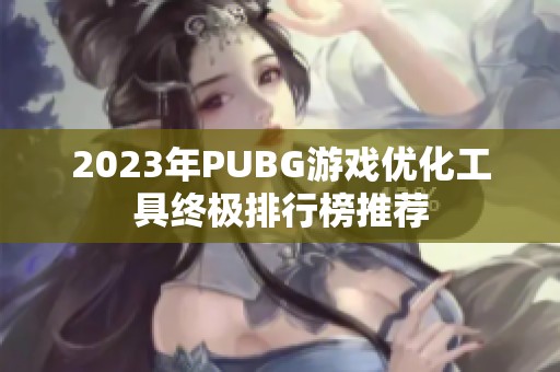 2023年PUBG游戏优化工具终极排行榜推荐