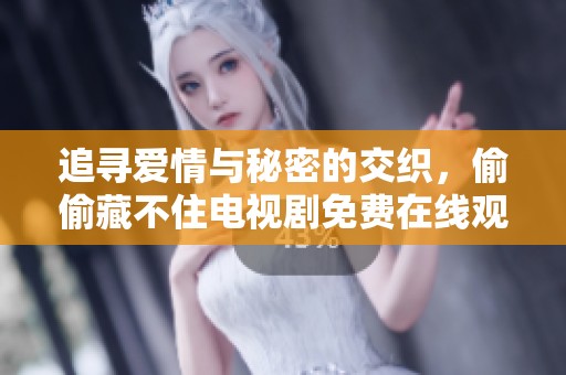 追寻爱情与秘密的交织，偷偷藏不住电视剧免费在线观看