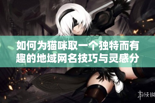 如何为猫咪取一个独特而有趣的地域网名技巧与灵感分享