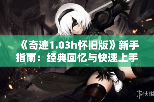 《奇迹1.03h怀旧版》新手指南：经典回忆与快速上手技巧分享