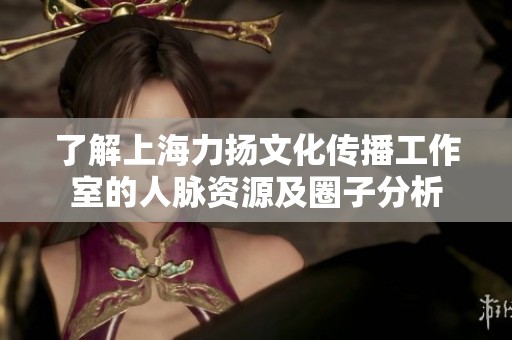 了解上海力扬文化传播工作室的人脉资源及圈子分析