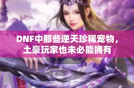 DNF中那些逆天珍稀宠物，土豪玩家也未必能拥有