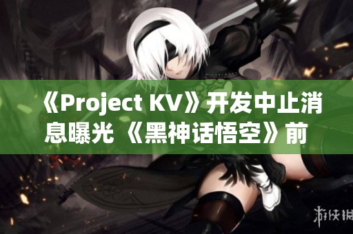 《Project KV》开发中止消息曝光 《黑神话悟空》前景引关注