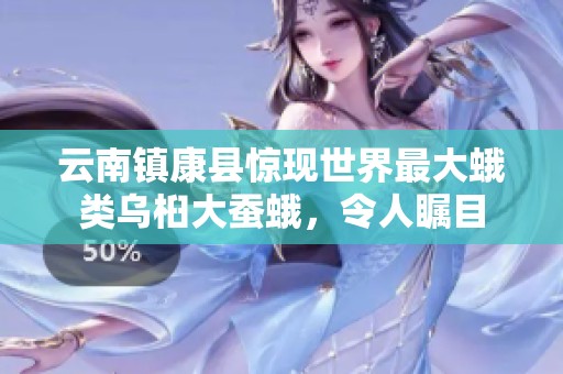 云南镇康县惊现世界最大蛾类乌桕大蚕蛾，令人瞩目